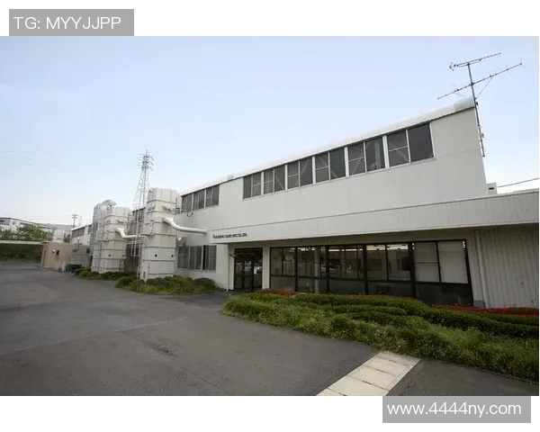 广州排球队整体压制革新之路探讨与未来展望 广州排球队整体压制革新之路探讨与未来展望