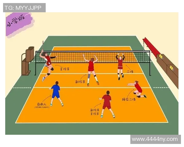 排球深度解析：西安排球队如何掌控比赛节奏与战术运用