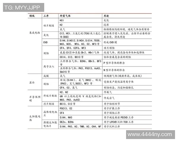 广州篮球队在杯赛中的速度优势分析与表现点评